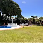 Hibiscus 69 - San Juan De Capistrano *