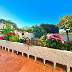 Hibiscus 69 - San Juan De Capistrano * Nerja