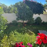 Hibiscus 69 - San Juan De Capistrano