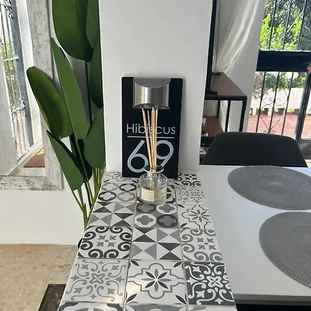 Hibiscus 69 - San Juan De Capistrano * Nerja