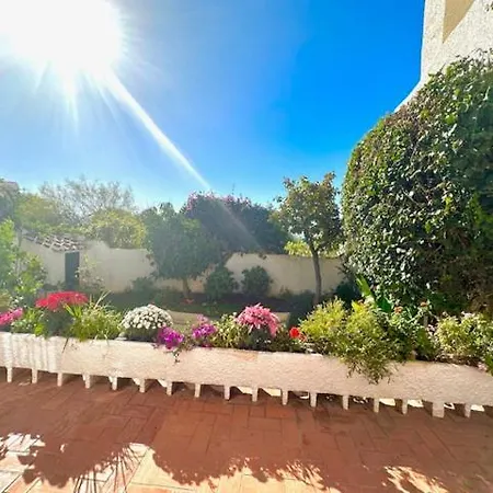 Hibiscus 69 - San Juan De Capistrano * Nerja