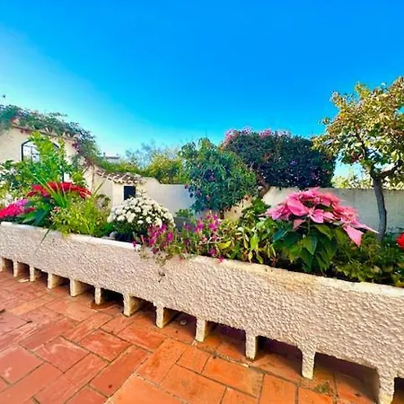 Hibiscus 69 - San Juan De Capistrano * Nerja