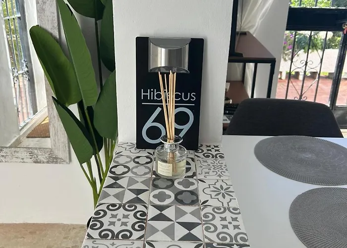 Hibiscus 69 - San Juan De Capistrano * Nerja