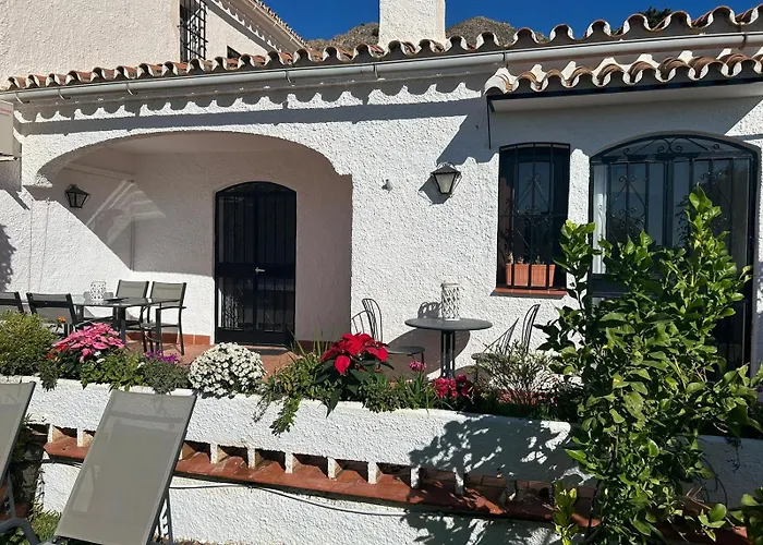 Hibiscus 69 - San Juan De Capistrano *