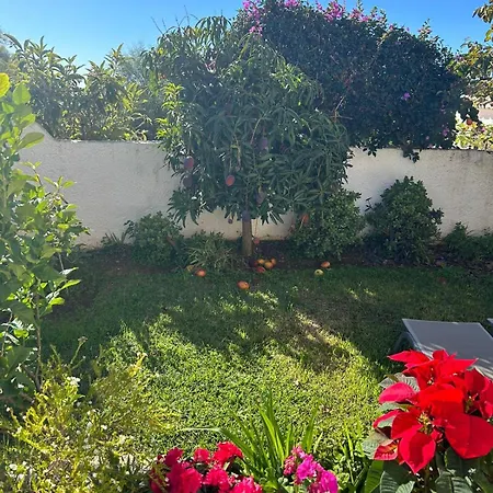 Hibiscus 69 - San Juan De Capistrano