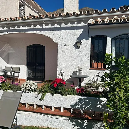 Hibiscus 69 - San Juan De Capistrano *