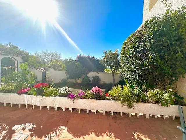 Hibiscus 69 - San Juan De Capistrano * ネルハ