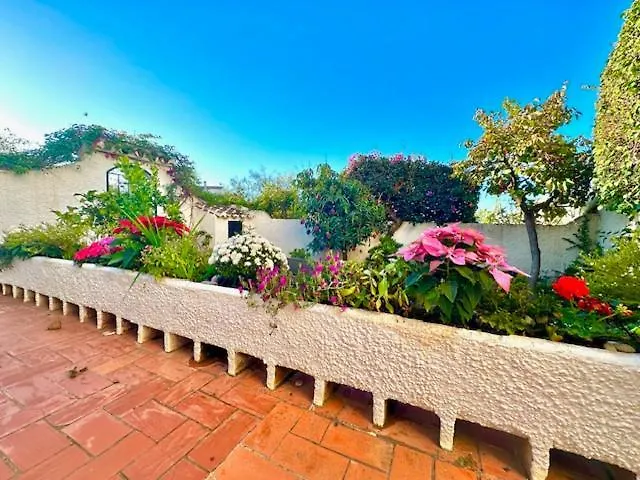 Hibiscus 69 - San Juan De Capistrano * ネルハ