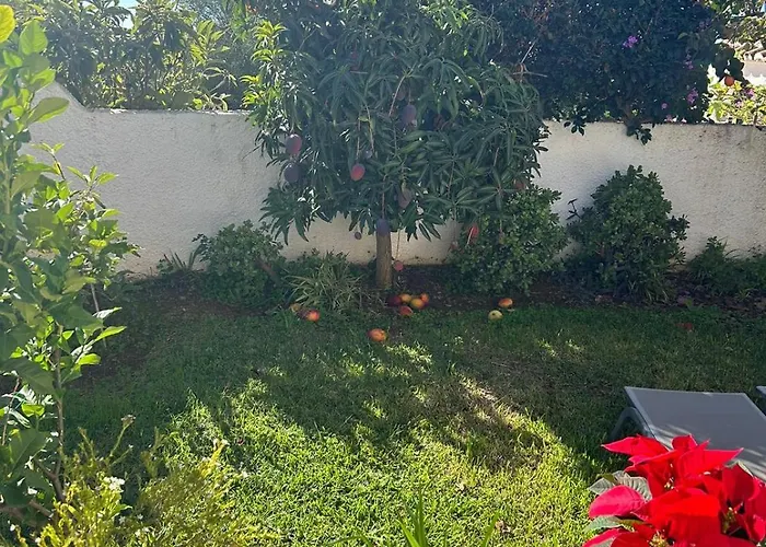 Hibiscus 69 - San Juan De Capistrano